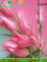 Скриншот темы Pink Flowers 06