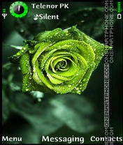 Green Rose tema screenshot