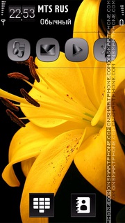 Скриншот темы Flower Yellow