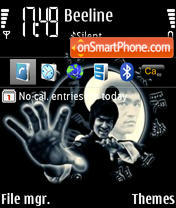 Bruce Lee 02 tema screenshot