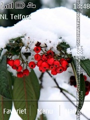 Capture d'écran Winter Cold thème