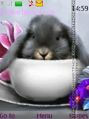 Bunny Theme-Screenshot