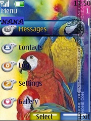 Parrots CLK tema screenshot