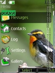 Bird CLK Theme-Screenshot