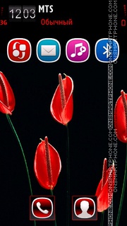 Red Flower 07 tema screenshot