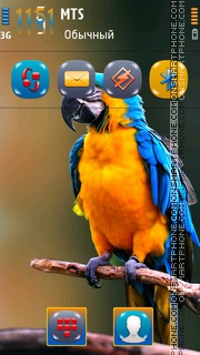 Parrot 10 es el tema de pantalla