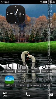 Swans Love tema screenshot