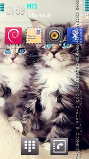 Kittens 02 theme screenshot