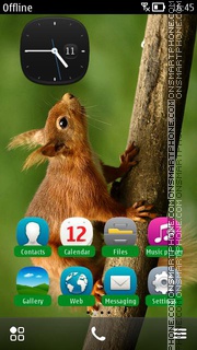 Little Animal Squirrel es el tema de pantalla