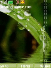 Green Drops tema screenshot