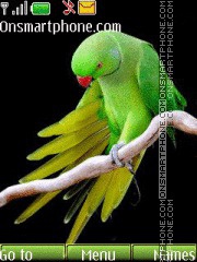 Green Parrot 01 tema screenshot