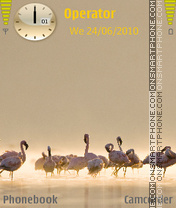 Flamingo by amjad theme screenshot