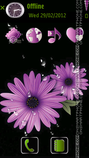 Daisy flower tema screenshot