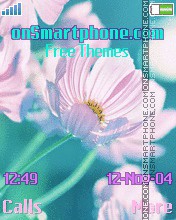 Cosmeya theme screenshot