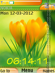 Spring Flowers 05 tema screenshot