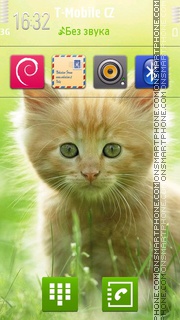 Kitten 10 tema screenshot