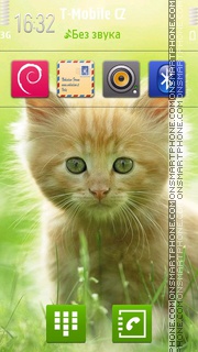 Kitten 10 Theme-Screenshot