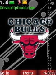 Chicago Bulls theme screenshot