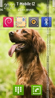 Dog 13 Theme-Screenshot