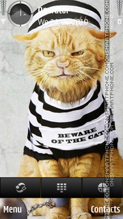 Beware cat tema screenshot