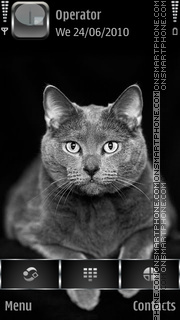 British Shorthair theme screenshot