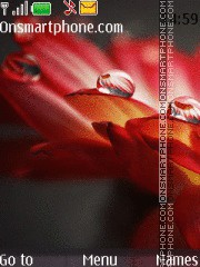 Скриншот темы Macro Drops Photo