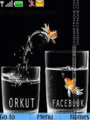 Orkut to Facebook theme screenshot