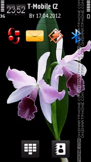 Orchid 02 theme screenshot