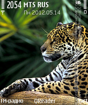 Jaguar tema screenshot