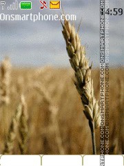 Скриншот темы Wheat Tree