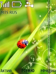 Ladybird theme screenshot