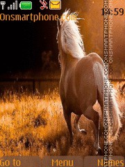 Скриншот темы Beautiful Horse