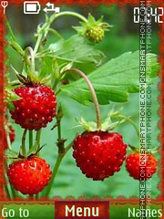 Summer Berries es el tema de pantalla