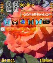 Rose 04 tema screenshot