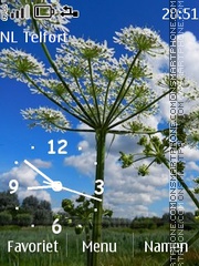 Скриншот темы Wild Flowers Clock