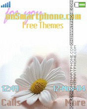 Daisy For You Theme-Screenshot