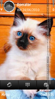 Cute Cat tema screenshot