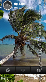 Capture d'écran Tropic Palm thème