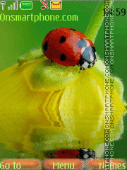 Скриншот темы Ladybird and flower