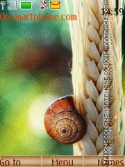 Snail tema screenshot