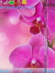 Orchids tema screenshot