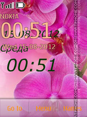 Orchids of clock theme screenshot