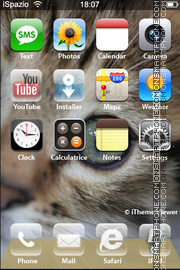 Cat 20 theme screenshot