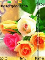 Colorful Roses tema screenshot