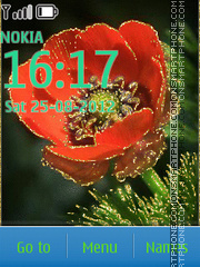 Red Flowers theme screenshot