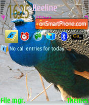 Capture d'écran Peacock thème