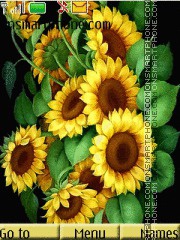 Sunflowers es el tema de pantalla