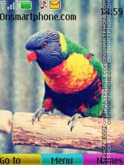 Colourful Parrot tema screenshot