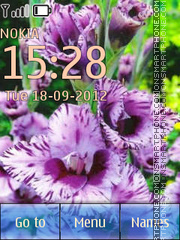 Gladioluses theme screenshot