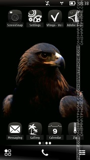 Hawk tema screenshot